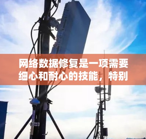 网络数据修复是一项需要细心和耐心的技能，特别是在处理重要数据时。以下是学习网络数据修复的分步指南，帮助您系统地掌握相关技巧