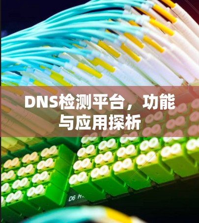 DNS检测平台，功能与应用探析