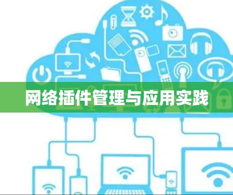 网络插件管理与应用实践