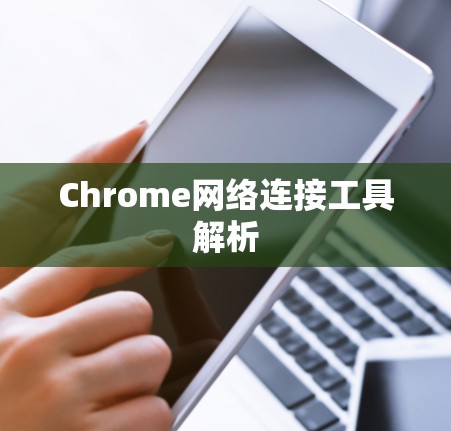 Chrome网络连接工具解析