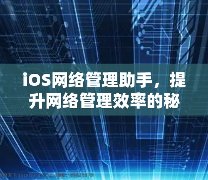 iOS网络管理助手,提升网络管理效率的秘密武器