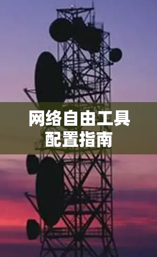 网络自由工具配置指南