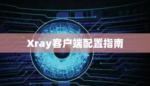 Xray客户端配置指南