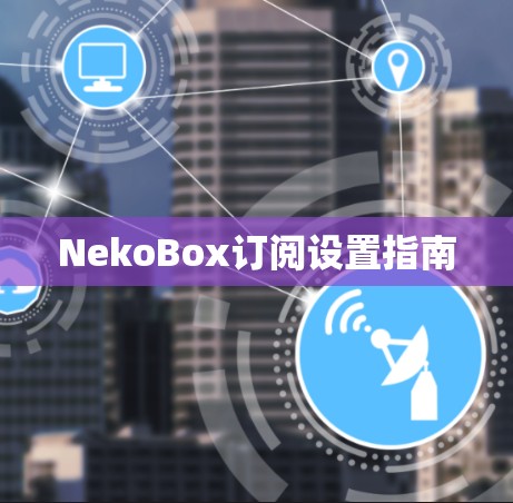 NekoBox订阅设置指南