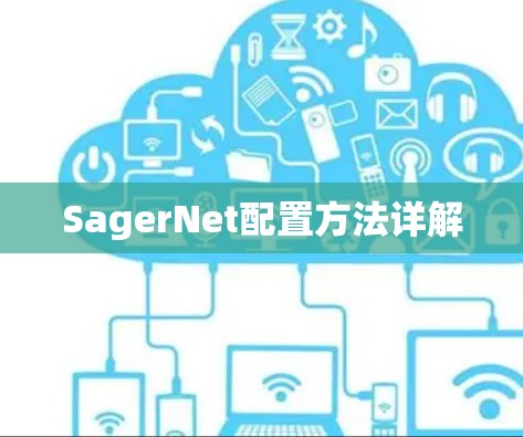 SagerNet配置方法详解