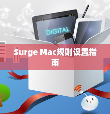 Surge Mac规则设置指南