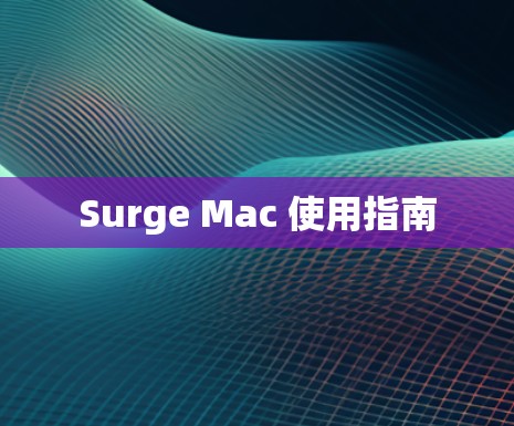 Surge Mac 使用指南