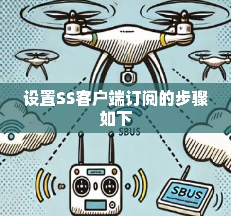 设置SS客户端订阅的步骤如下