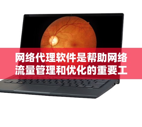 网络代理软件是帮助网络流量管理和优化的重要工具,以下是使用指南,分步骤说明 网络代理软件是帮助网络流量管理和优化的重要工具,以下是使用指南,分步骤说明