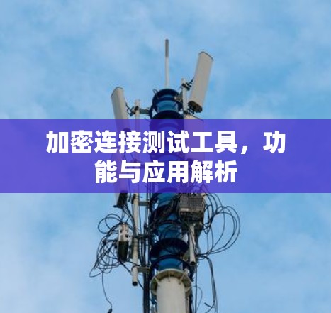 加密连接测试工具,功能与应用解析