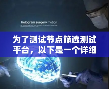 为了测试节点筛选测试平台，以下是一个详细的测试方案，涵盖了各个关键方面