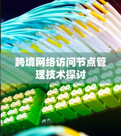 跨境网络访问节点管理技术探讨 跨境网络访问节点管理技术探讨