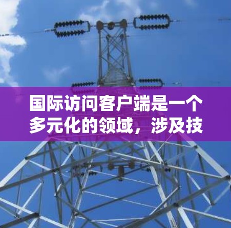国际访问客户端是一个多元化的领域,涉及技术、用户需求和跨国网络环境的复杂性。以下是对国际访问客户端的系统分析和总结