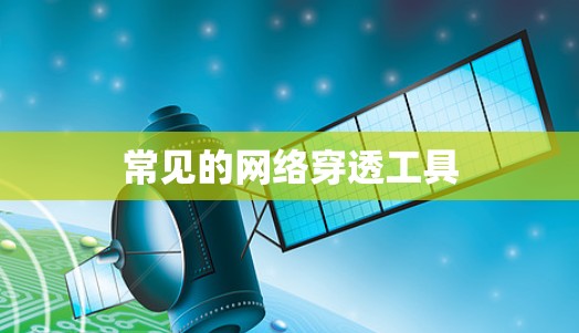 常见的网络穿透工具