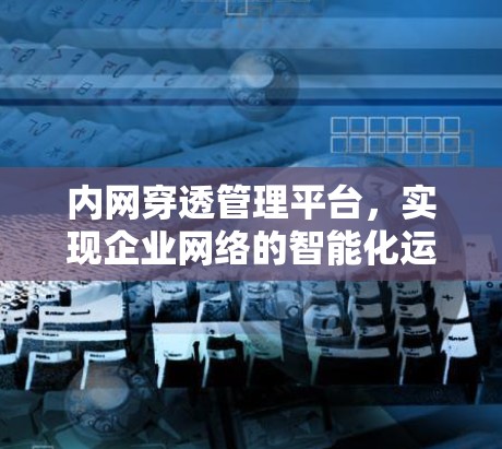 内网穿透管理平台，实现企业网络的智能化运维