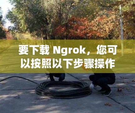 要下载 Ngrok,您可以按照以下步骤操作