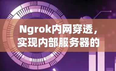 Ngrok内网穿透,实现内部服务器的互联网访问