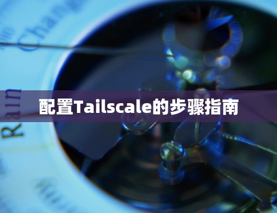配置Tailscale的步骤指南