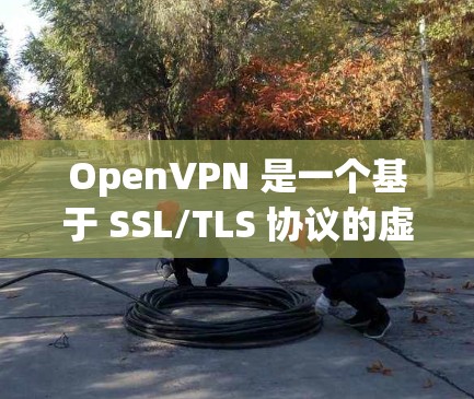OpenVPN 是一个基于 SSL/TLS 协议的虚拟专用网络（VPN）解决方案，允许用户 securelyly 连接到一个远程网络。要使用 OpenVPN，通常需要以下步骤