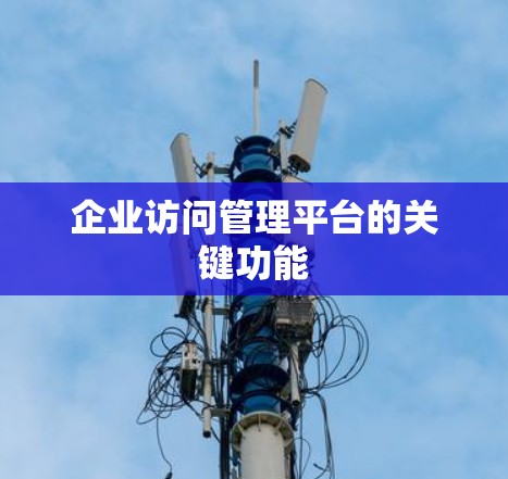 企业访问管理平台的关键功能