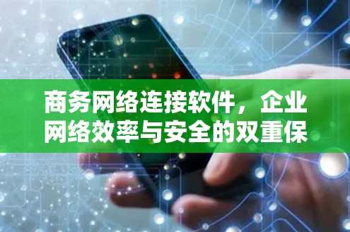 商务网络连接软件,企业网络效率与安全的双重保障 商务网络连接软件,企业网络效率与安全的双重保障
