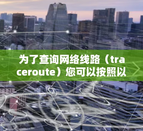 为了查询网络线路（traceroute）您可以按照以下步骤操作