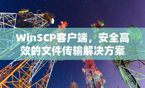 WinSCP客户端,安全高效的文件传输解决方案 WinSCP客户端,安全高效的文件传输解决方案