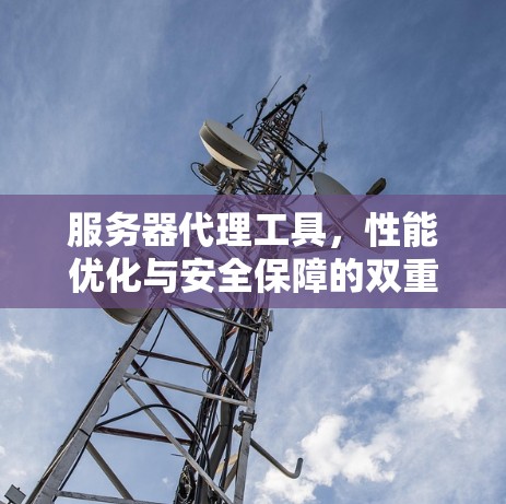 服务器代理工具,性能优化与安全保障的双重利器