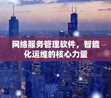 网络服务管理软件，智能化运维的核心力量
