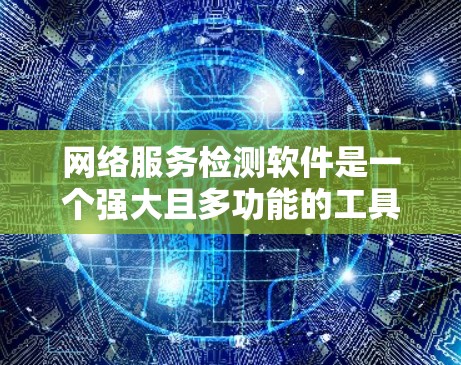 网络服务检测软件是一个强大且多功能的工具，用于监控和维护网络服务的稳定性和可靠性。以下是对该软件的详细分析和总结