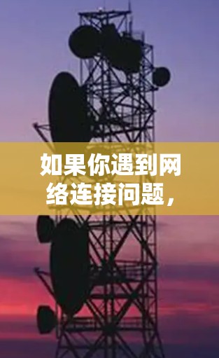 如果你遇到网络连接问题，以下是一些常见问题及其解决方法