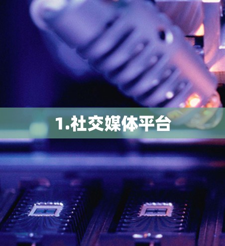 1.社交媒体平台 1.社交媒体平台
