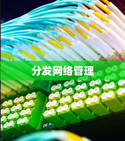 分发网络管理