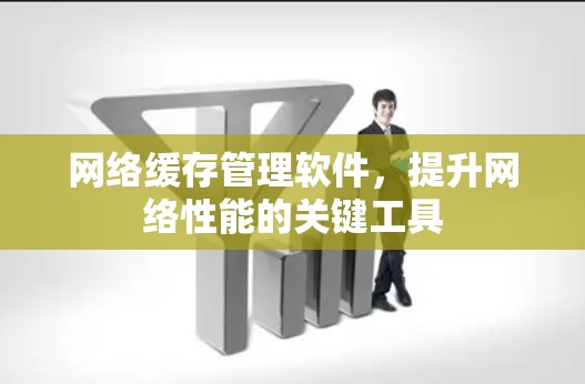 网络缓存管理软件,提升网络性能的关键工具