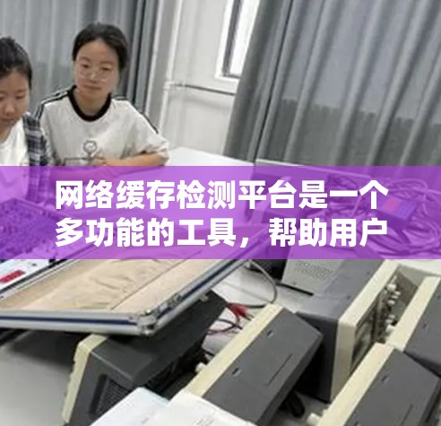 网络缓存检测平台是一个多功能的工具，帮助用户发现、分析和管理网络缓存数据。以下是对该平台的详细分析和总结