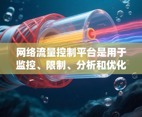网络流量控制平台是用于监控、限制、分析和优化网络流量的系统,旨在帮助企业管理网络资源,提升安全性和性能。以下是对网络流量控制平台的详细分析和总结