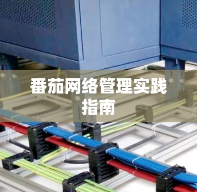 番茄网络管理实践指南