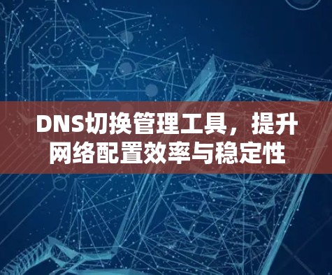 DNS切换管理工具,提升网络配置效率与稳定性 DNS切换管理工具,提升网络配置效率与稳定性