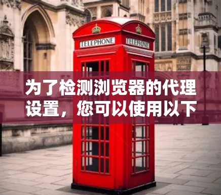 为了检测浏览器的代理设置，您可以使用以下步骤和工具