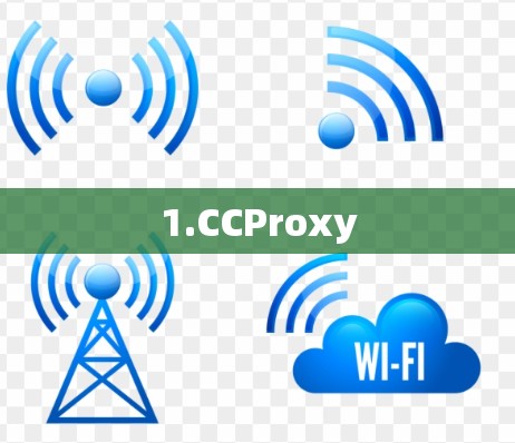1.CCProxy
