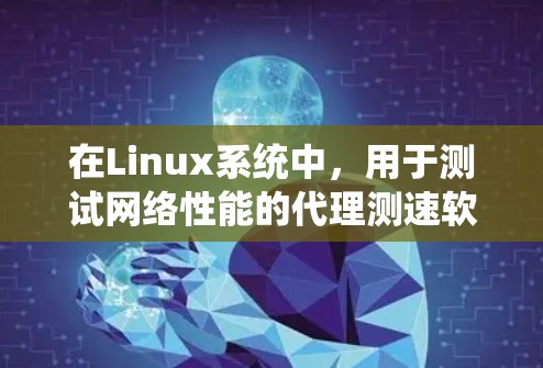 在Linux系统中,用于测试网络性能的代理测速软件有多种,各具特点,适用于不同的场景。以下是这些工具的详细介绍