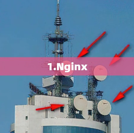 1.Nginx
