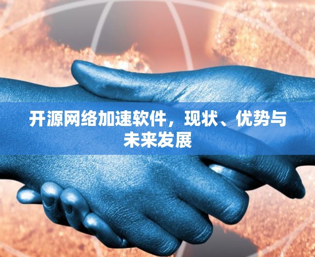 开源网络加速软件,现状、优势与未来发展