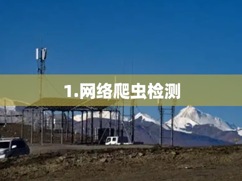1.网络爬虫检测