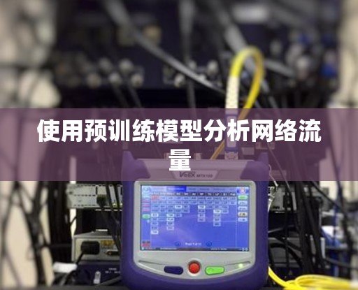使用预训练模型分析网络流量