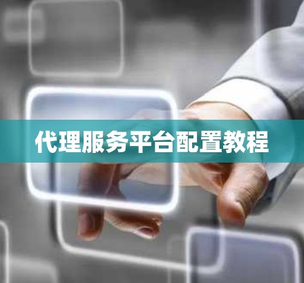 代理服务平台配置教程