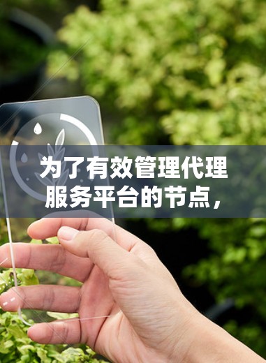 为了有效管理代理服务平台的节点,以下是一个有条理的步骤指南 为了有效管理代理服务平台的节点,以下是一个有条理的步骤指南