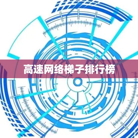 高速网络梯子排行榜
