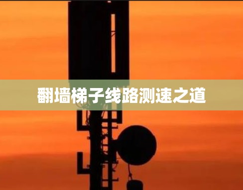翻墙梯子线路测速之道 翻墙梯子线路测速之道