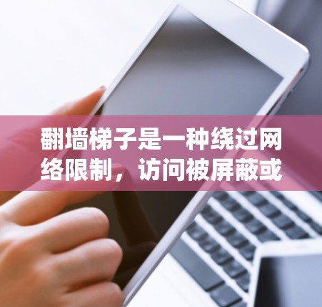 翻墙梯子是一种绕过网络限制,访问被屏蔽或受限网站的工具。以下是配置翻墙梯子的分步指南